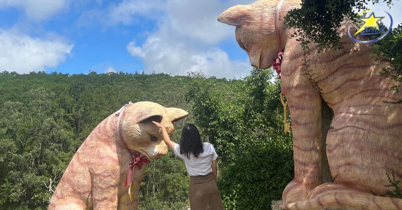 Đồi mèo uyên ương nơi những câu chuyện tình yêu được viết nên 
